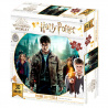 Puzzle 3d lenticular harry potter harry