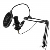 Micrófono condensador cardioide profesional phoenix con