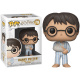 Funko pop harry potter harry potter