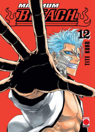 Bleach maximum 12